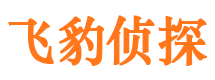 川汇侦探